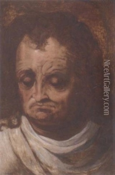 Head Of A Man Oil Painting - Frans Floris the Elder