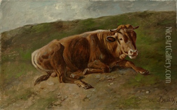 Ruhende Kuh Auf Einer Wiese Oil Painting - Anton Braith