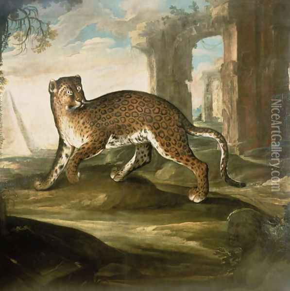 A Jaguar Oil Painting - Andrea Scacciati