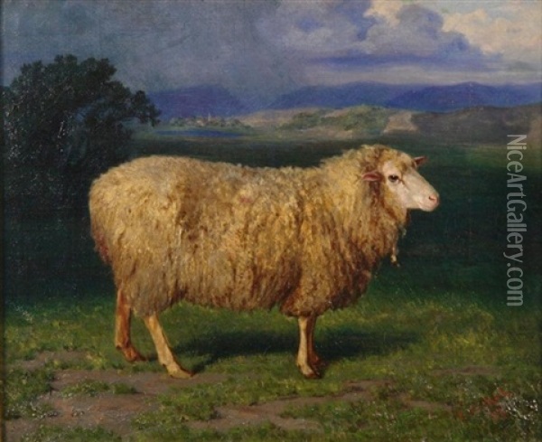Portrat Eines Schafes Vor Weiter Landschaft Oil Painting - Eduard Ockel
