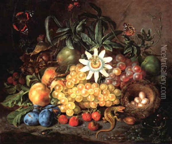 Fruchtstilleben Mit Vogelnest, Eidechse Und Schmetterling Oil Painting - Johann Daniel Bager