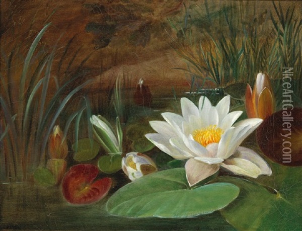 Water Lilies Oil Painting - Augusta Wilhelmine Reichelt