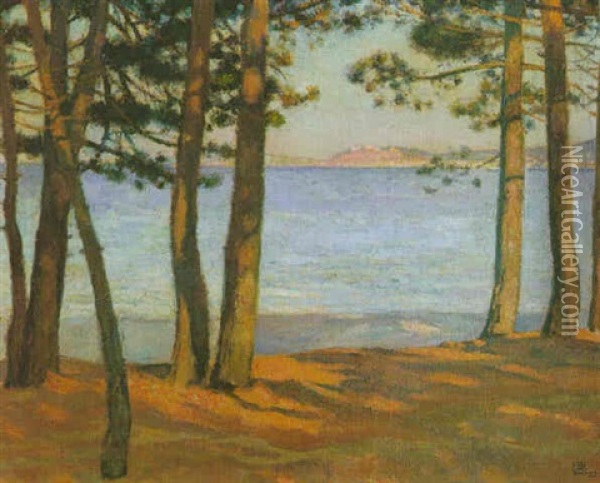 Paysage Au Bord De Mer Oil Painting - Theo van Rysselberghe