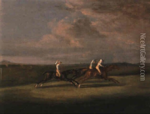 Match Racing On Newmarket Heath Oil Painting - Francis Sartorius the Elder