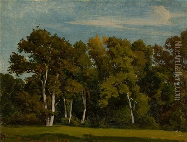 Study From The Park In Weimar Oil Painting - Friedrich Preller the Younger