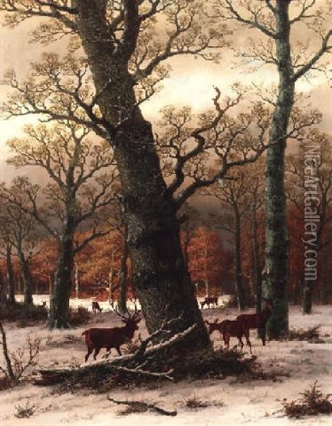 Rotwild Auf Verschneiter Waldlichtung Oil Painting - Caesar Bimmermann