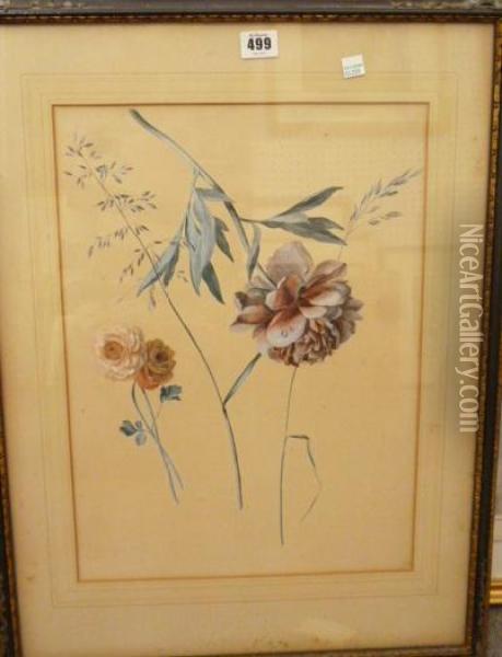 A Group Of Five Botanical Studies Oil Painting - Leopold Zinnogger