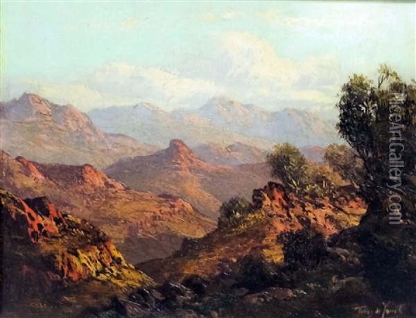 South African View With Mountains Oil Painting - Tinus de Jongh