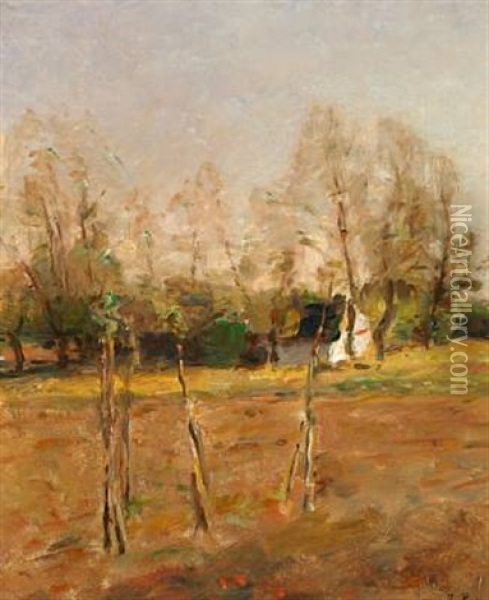 Landscape With Slender Trunks Oil Painting - Julius Paulsen