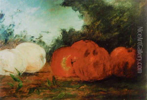 Nature Morte Aux Pommes Oil Painting - Gustave Courbet