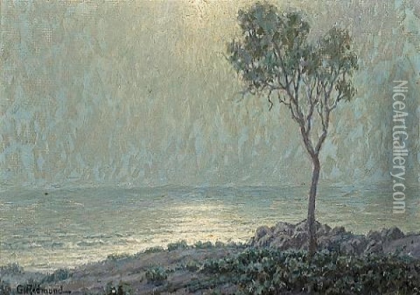 Lone Tree Along The Moonlit Coast Oil Painting - Granville S. Redmond