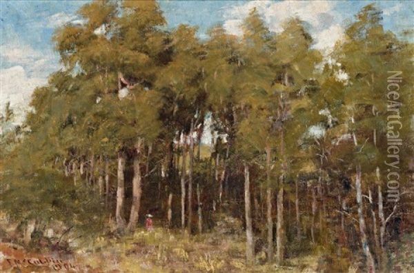 A Mountain Clearing, Macedon Oil Painting - Frederick McCubbin