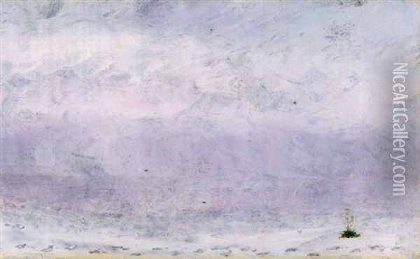 Strand I Sommarnatt Oil Painting - August Strindberg