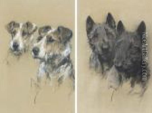 Two Wire-haired Fox Terriers; And Two Cairn Terriers Oil Painting - Arthur Wardle