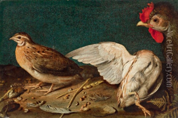 Ein Huhn, Eine Wachtel Und Ein Anderer Vogel Oil Painting - Francesco Codino