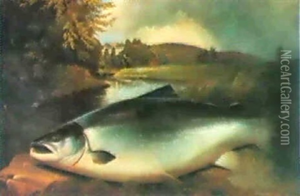 A Life Size Fresh-run Cock Salmon Of 42 1/2 Pounds On       Lord Banff's Rock On The Banksof The Deveron Oil Painting - John Bucknell Russell