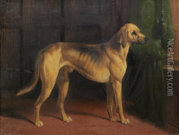 Hound In An Interior Oil Painting - William Barraud