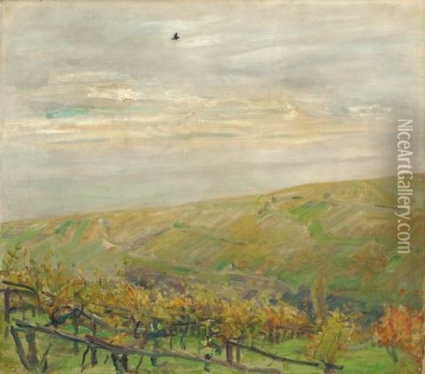 Landschaft Mit Fliegendem Vogel (blick Ins Leinsweiler Tal Im Herbst) Oil Painting - Max Slevogt