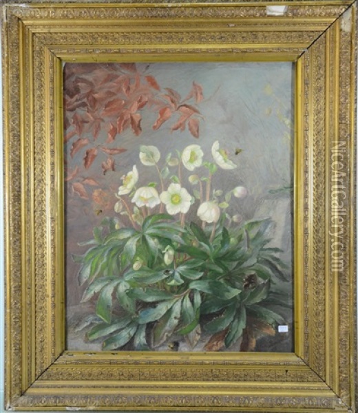 Fleurs Et Insectes Oil Painting - Alfrida Baadsgaard