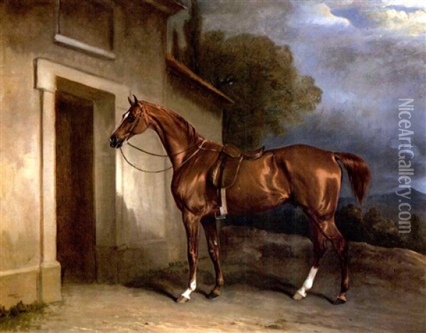 A Saddled Chestnut Hunter Beside A Stable Oil Painting - John E. Ferneley