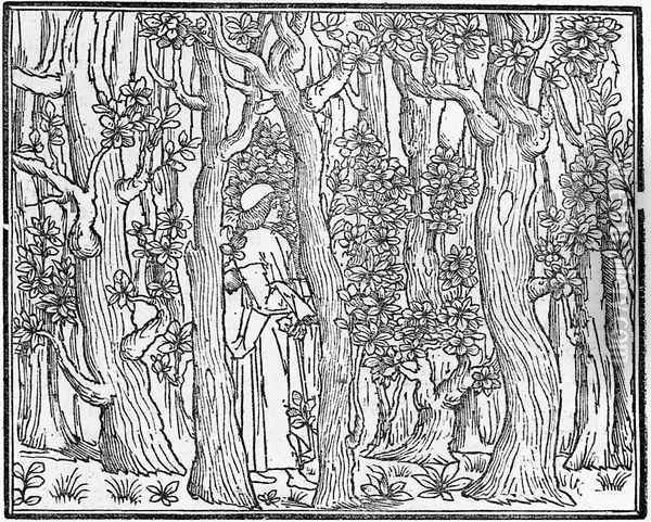 Poliphilus in a Wood 1499 Oil Painting - Aldus Manutius