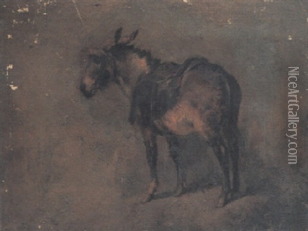 Study Of A Donkey Oil Painting - Sir Edwin Henry Landseer