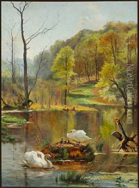 Forest Lake With Swans And Cygnets In The Nest Oil Painting - Carl Frederik Peder Aagaard