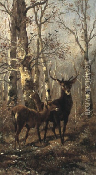 Hirsche Im Birkenwald Oil Painting - Adolf Kaufmann