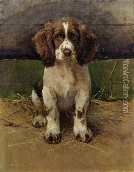 Nancy, A Springer Spaniel Oil Painting - Samuel Fulton