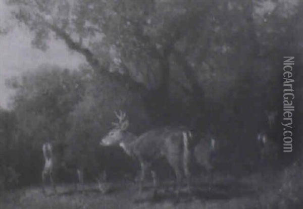 Deer Feeding In A Clearing Oil Painting - Hermann Herzog