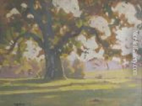 A Figure Sitting In Dappled Sunlight Beneath The Branches Of A Tree Oil Painting - Frederick Hall
