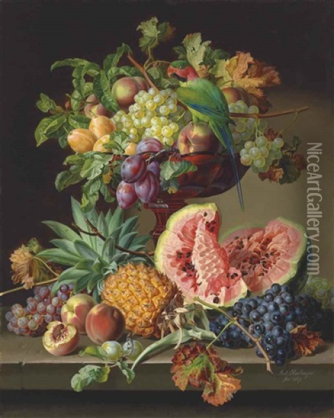 Still Life With Fruit And A Parrot Oil Painting - Anton Hartinger