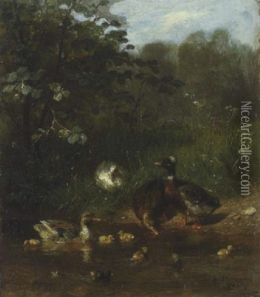 Enten, Erpel Und Kuken Oil Painting - Carl Jutz the Elder