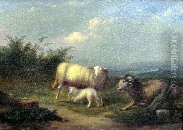 Schafe Vor Weiter Landschaft Oil Painting - Jules Leonard