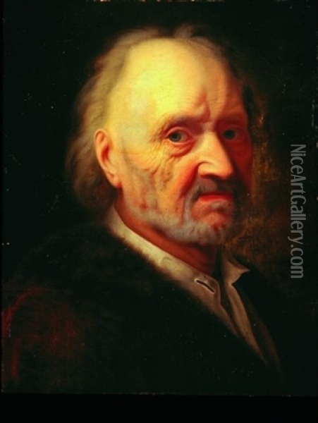 Portrait D'un Vieil Homme Oil Painting - Balthazar Denner