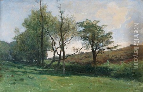 Paysage De Printemps Oil Painting - Gustave Castan