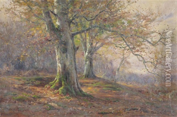 Autumn In The Woods Oil Painting - Frederick Golden Short