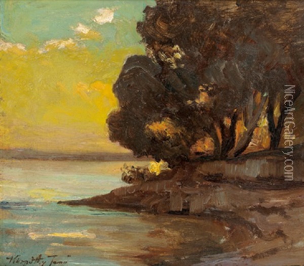 Abend Am See Oil Painting - Jenoe Karpathy