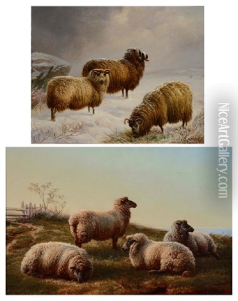 Sheep In A Snowy Landscape Oil Painting - Charles Jones
