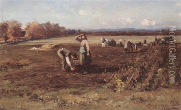 Potato Gatherers, Midlothian Oil Painting - David Farquharson