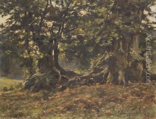 Alberi Nel Bosco Oil Painting - Guido Boggiani