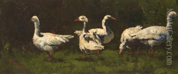 Study Of Geese Oil Painting - Elliot Daingerfield