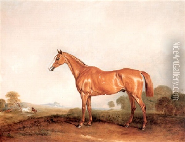 A Golden Chestnut Hunter In A Landscape Oil Painting - John E. Ferneley