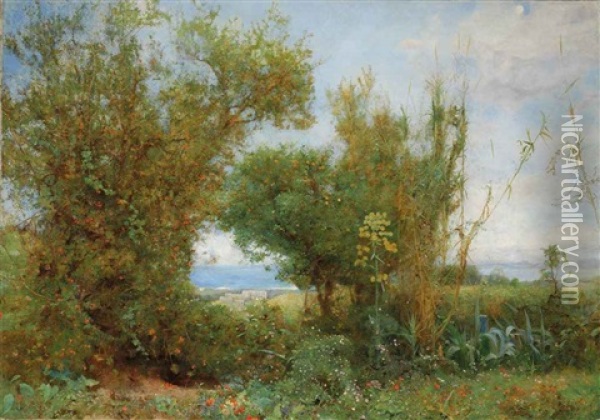 The Grass Of The Field Oil Painting - John William North
