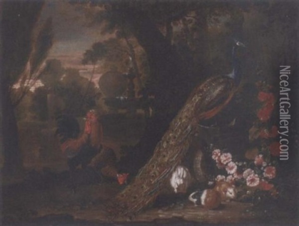 A Peacock And Cockerels, With Guinea Pigs And A Rabbit In An Italianate Garden With A Fountrain Oil Painting - David de Coninck