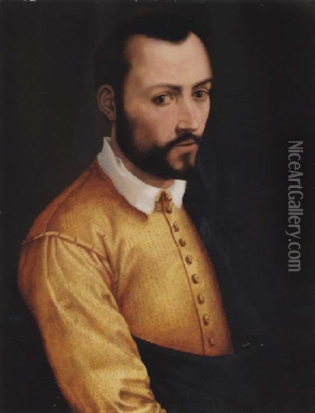 Portrait Of Francesco I De'medici Oil Painting - Tommaso Manzuoli