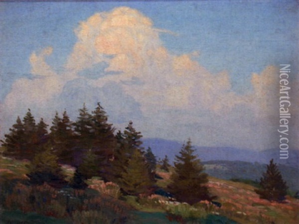 Hillside And Spruce Oil Painting - Norwood Hodge Macgilvary