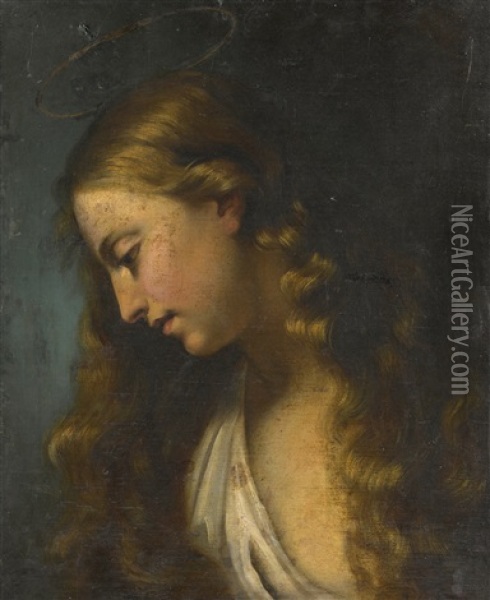 Mary Magdalene Oil Painting - Donato Creti