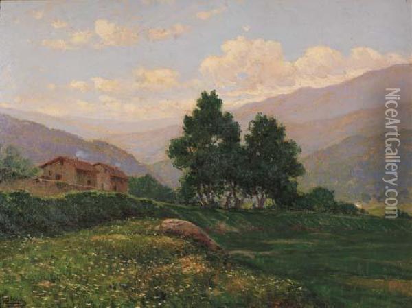 Paesaggio Oil Painting - Luigi Clara