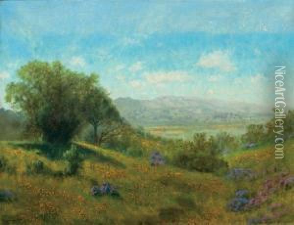 Poppies With Mt. Tamalpais In The Distance Oil Painting - Charles Robinson